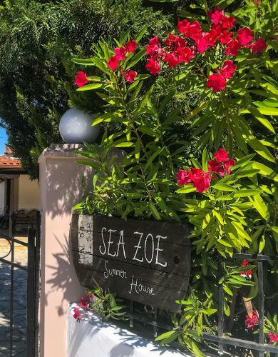 Sea Zoe, Summer House