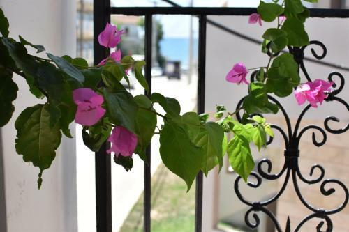 Apartamento Ephelia Gold