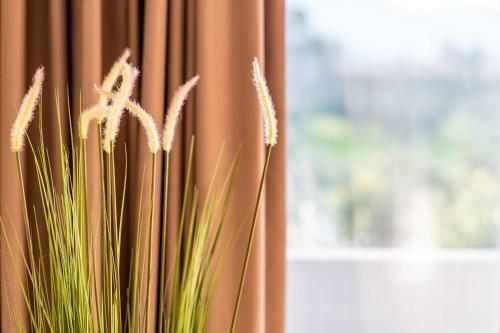 Apartamento Moon Boutique Hotel