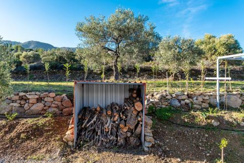 Evgenias Olive House