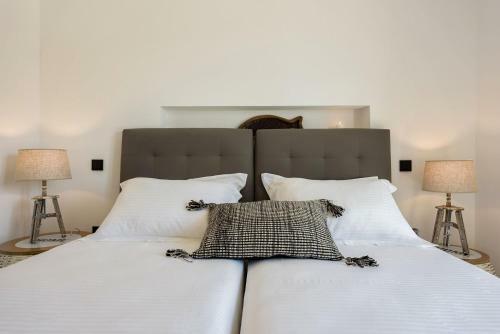Paros Villa Blue Senses