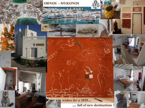 Mykonos Ornos Redocher Home