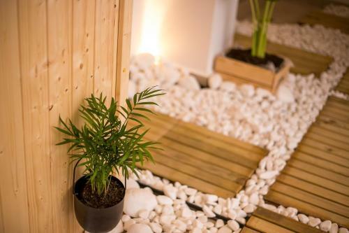 Casa De Raphael - Luxury Spa Apartment