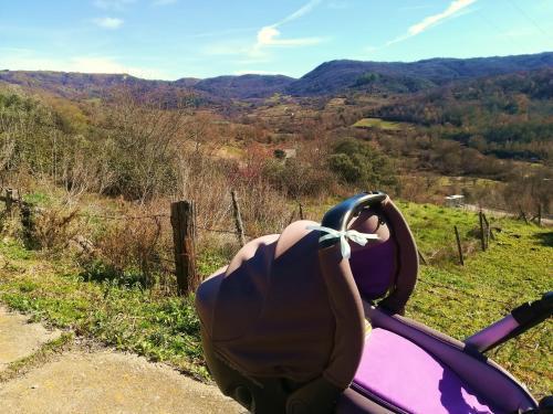 Apartamentos Casa Rural Francia-quilamas