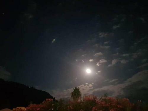 Sea-view Apartment In Corfu With Balcony