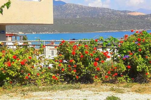 Apartamento Summer Aura - Seaside Place