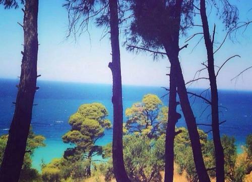 Summer House With Amazing View