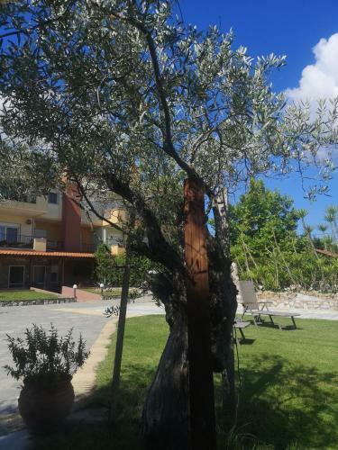 Apartamento Makis Nest