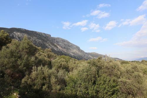 Marios Apartments Ionian Sea View