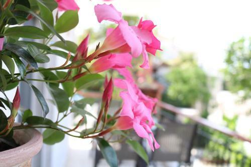 Hotel Elvetos Makedonia