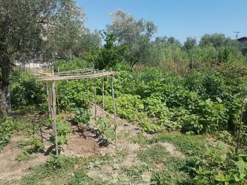 Apartamento Eleonas Farm House