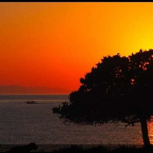 Hotel Sunset Studios & Rooms