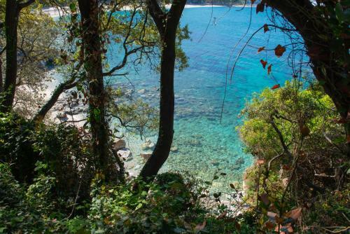 Pelion Bnb Luxury Homes