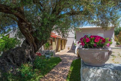 Apartamento Nicoles Houses Arillas Corfu