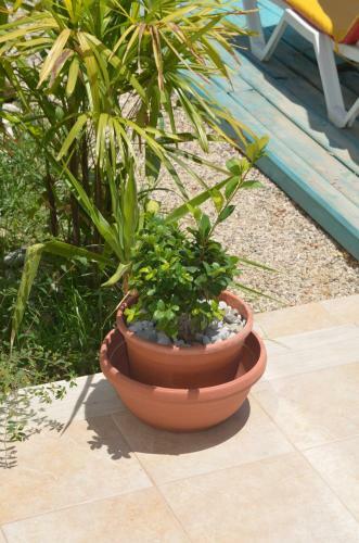 Apartamento Venus Afrodite Sea View Villa