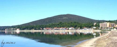 Pefkonas Apartments 100 M From The Beach