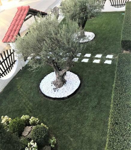 Apartamento Amaryllis House