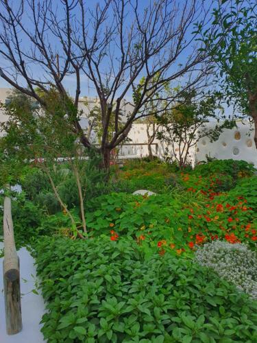 Apartamento Ermis Koufonissi