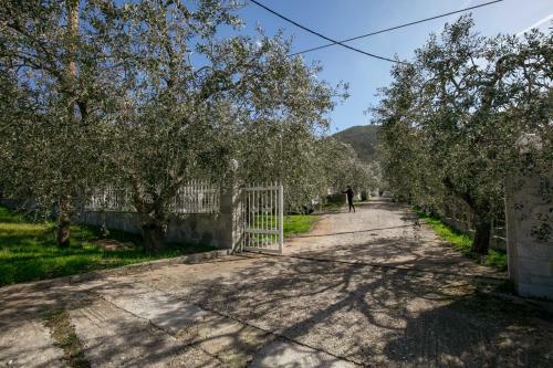 Olive & Mare Apartments