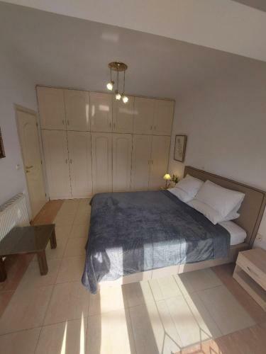 Artemis Luxury Villa