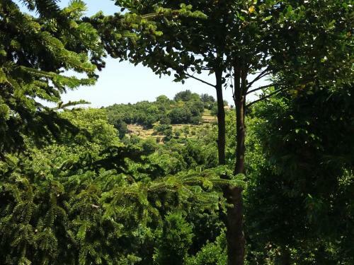 Hostal Dimosthenis Karastamatis Rooms