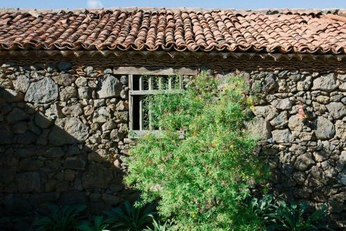 Apartamentos El Patio De Tita