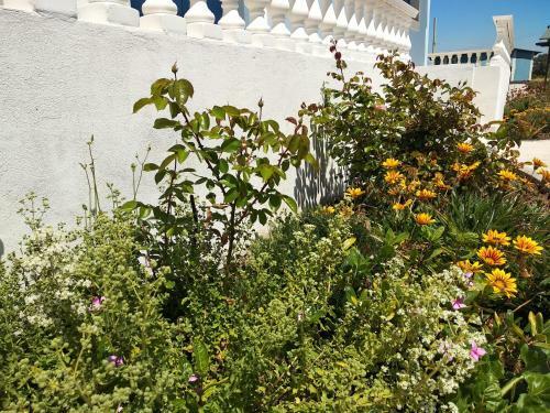 Rita Mare Seafront Villas