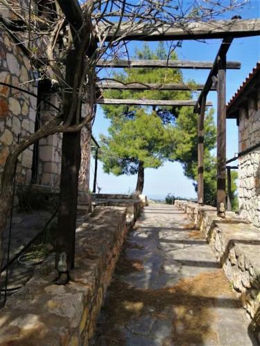 Wood & Stone Dream View House A