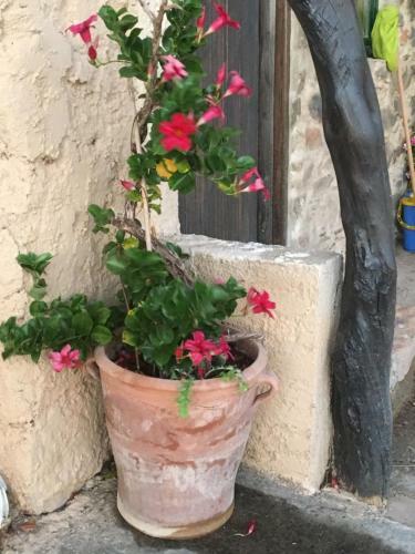 Livadia Arg & Geo Villa Elafonisi
