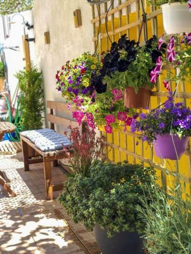 Agroturismo Afrodites Residence Triopetra