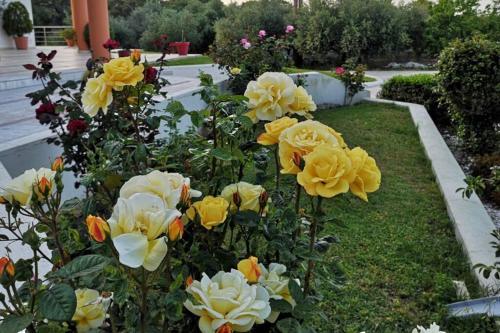 Apartamento Fiore Di Rodi - Private Pool, Jacuzzi And Barbecue