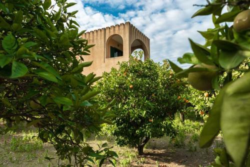 The Tower With The Orange Tree Garden