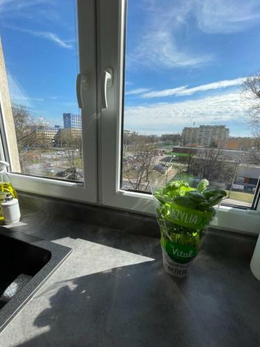 Luxury White Apartment By Marta