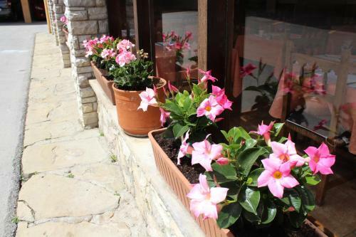 Hostal Montserrat