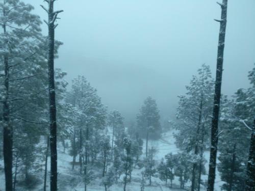 Saundkoti Hills Homestay, New Tehri Uk
