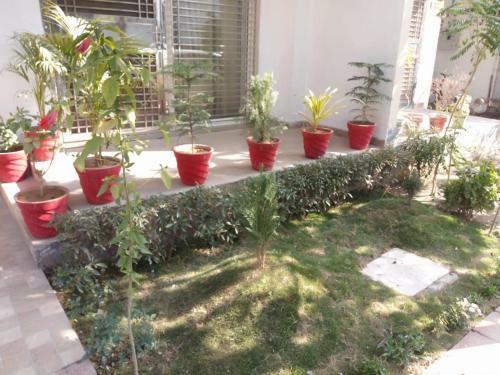 Serene Villa Homestay - Greater Noida