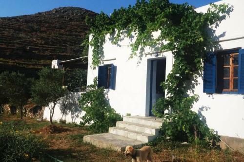 Peaceful Cottage House By The Sea