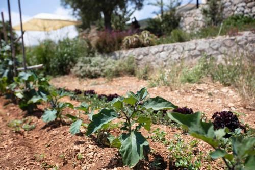 Agroturismo Anemos