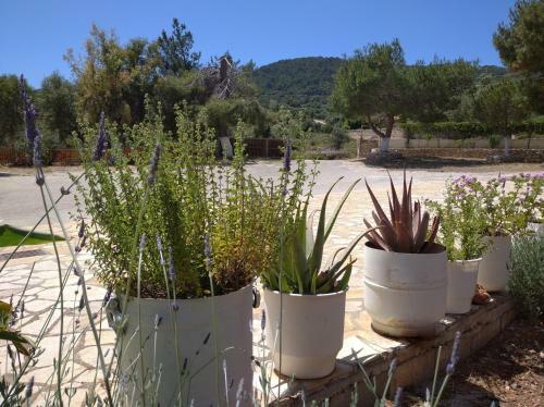 Apartamento Blue Cave Studios - Barbaressa