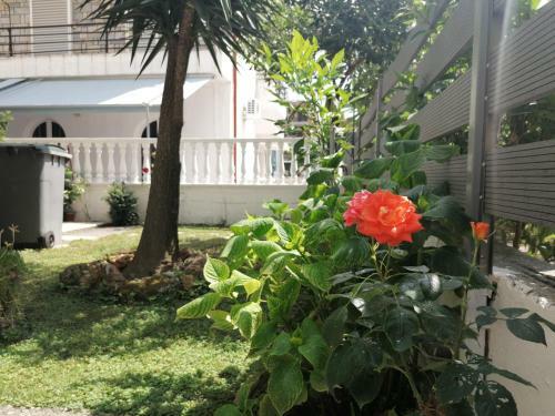 Apartamento Villa Sarros