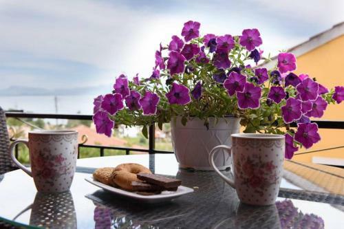 Seaview Cottage - Calmare