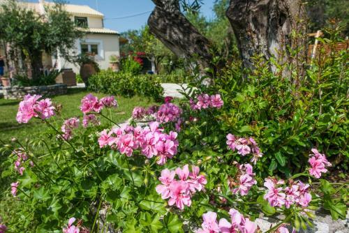 Corfu Villa Linea By Hotelius
