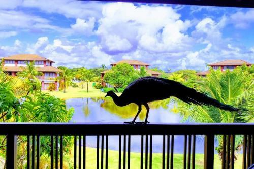 Apartamento Piscinas Naturais De Praia Do Forte