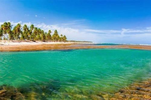 Apartamento Piscinas Naturais De Praia Do Forte
