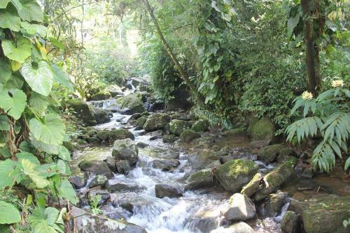 Villa Ref�gio Rom�ntico Em Meio � Natureza
