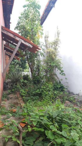 Natural Hostel Atins