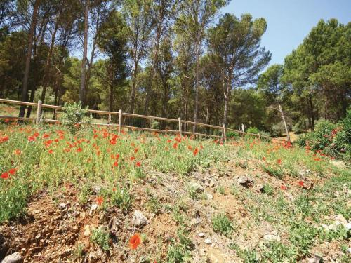 Holiday Home El Gastor 3