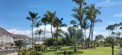 Apartamento Anfi Beach Club