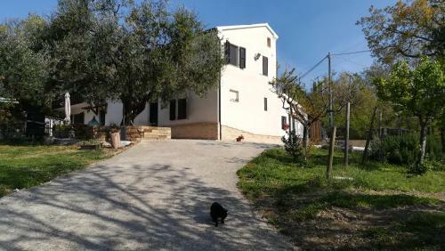 Bed & Breakfast Sotto L'ulivo