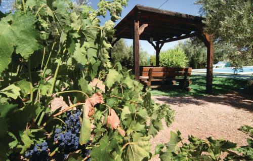Holiday Home Poligono 7, Parcela